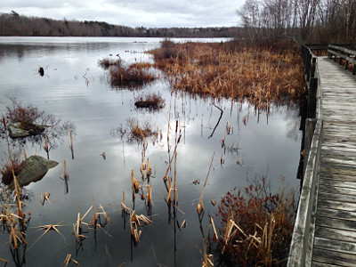 Albro Lake